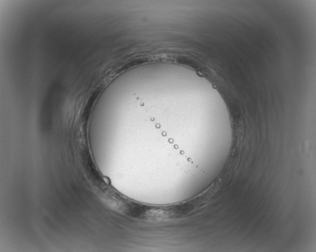 X0000079320699200611170931
