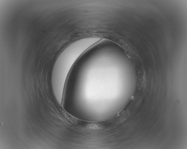 X0000079320704200611170931