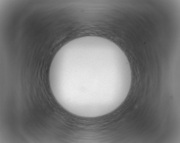 X0000079320705200611170931