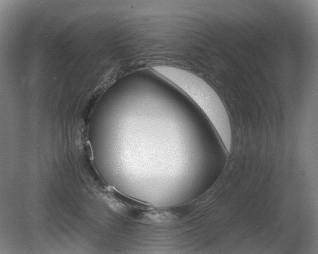 X0000079320712200611170930