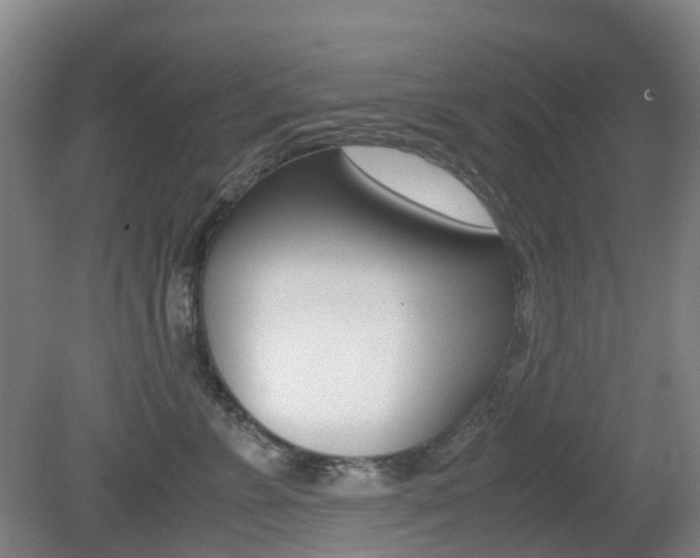 X0000079320715200611170930
