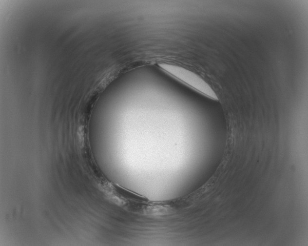X0000079320716200611170930