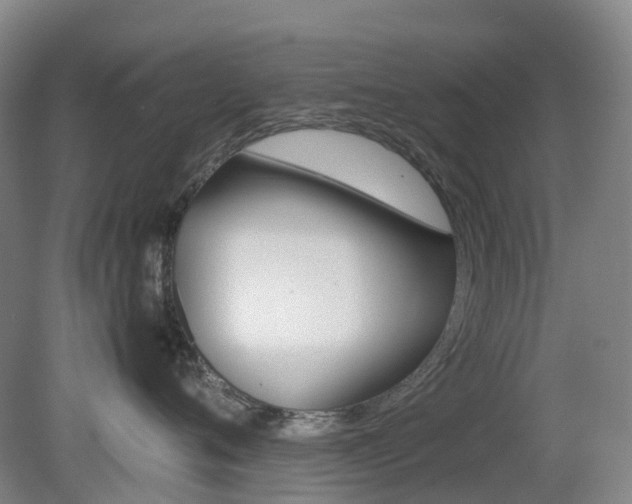 X0000079320720200611170930