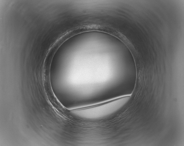 X0000079320722200611170929
