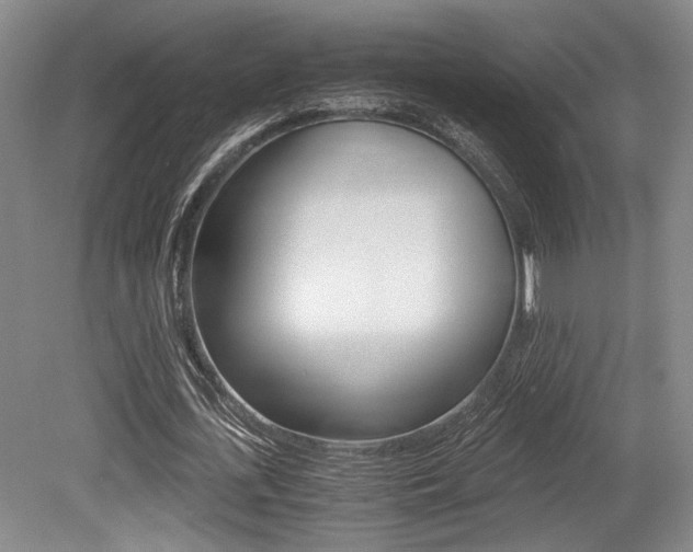 X0000079320723200611170929