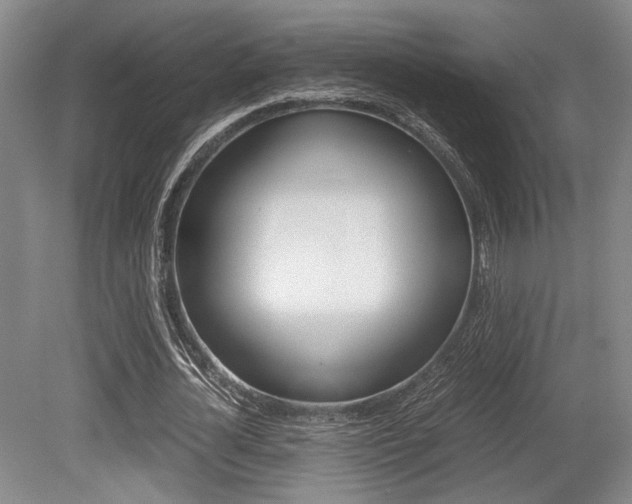 X0000079320724200611170930