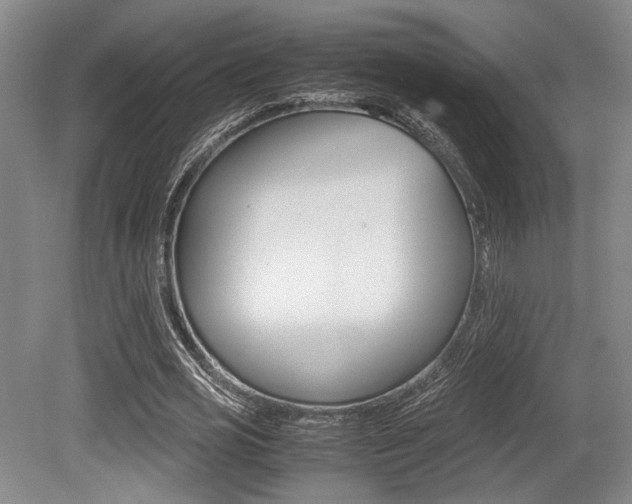 X0000079320725200611170930