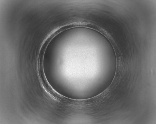X0000079320726200611170930