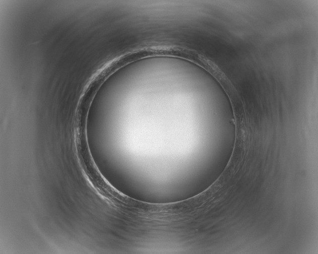X0000079320728200611170930