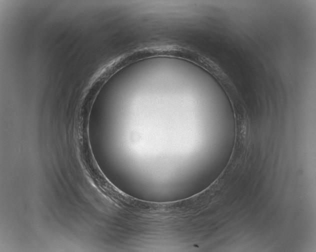 X0000079320732200611170930