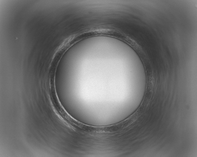 X0000079320734200611170930