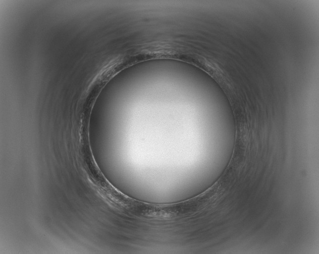 X0000079320735200611170930