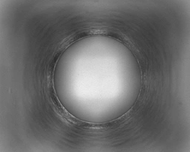 X0000079320741200611170930