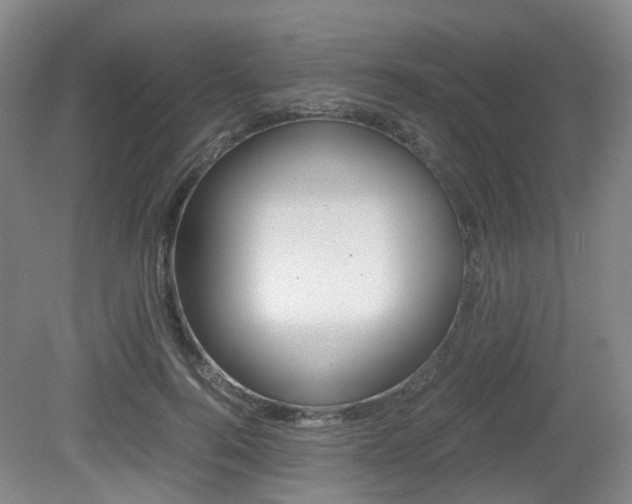 X0000079320744200611170930