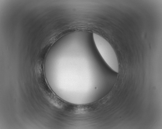 X0000079320746200611170930