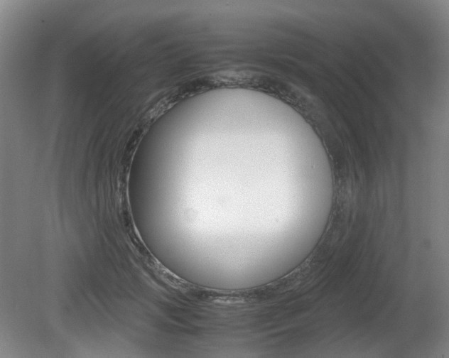 X0000079320749200611170930