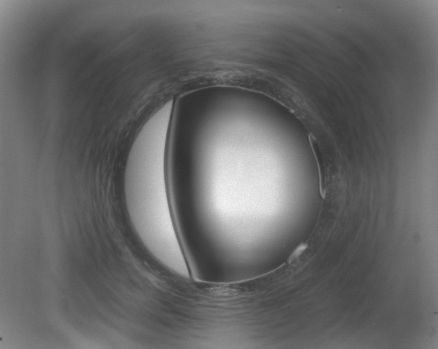 X0000079320750200611170930