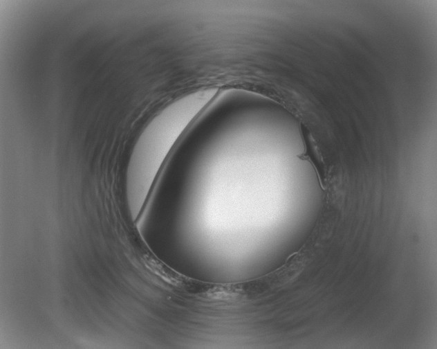 X0000079320756200611170930
