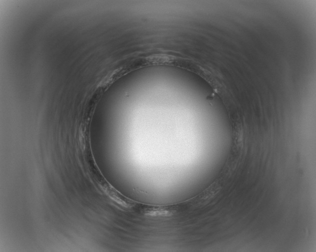 X0000079320759200611170930