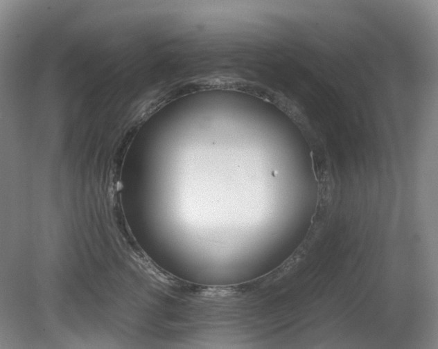 X0000079320762200611170930