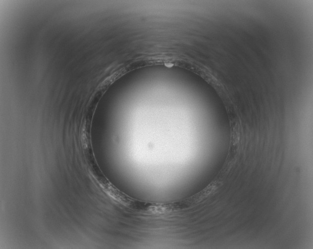 X0000079320764200611170930