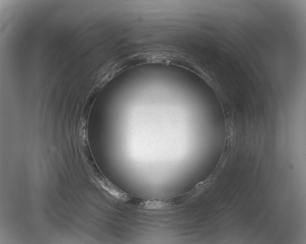 X0000079320766200611170930