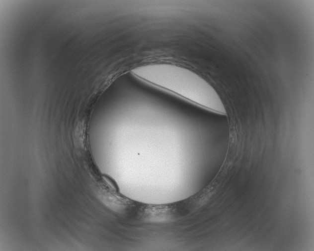 X0000079320767200611170930