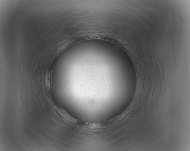X0000079320768200611170930