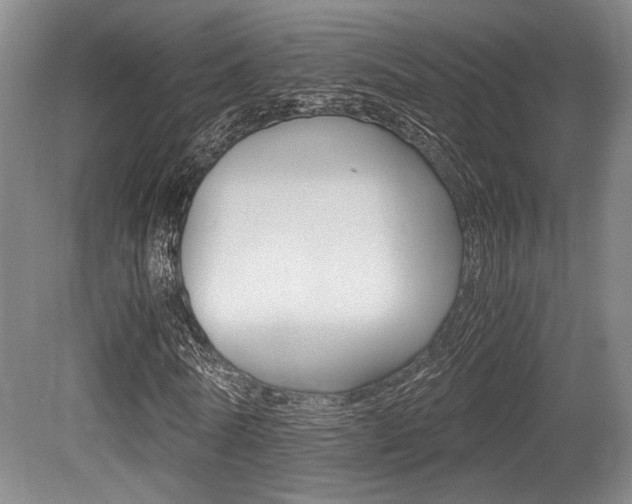 X0000079320770200611170929