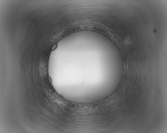 X0000079320772200611170929