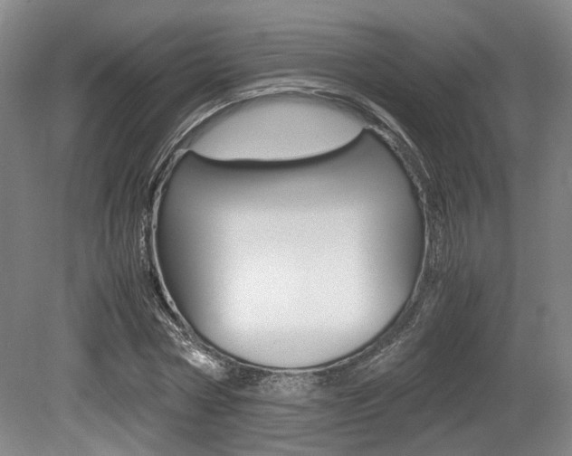 X0000079320778200611170929