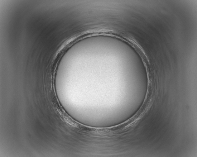 X0000079320781200611170929