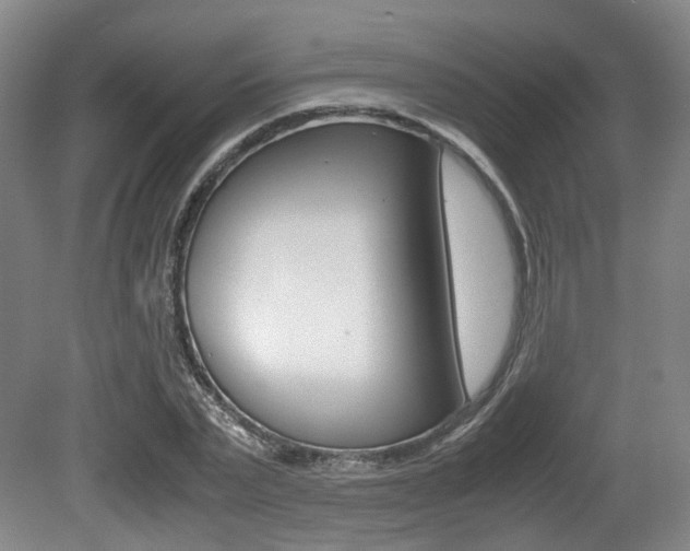 X0000079320783200611170929