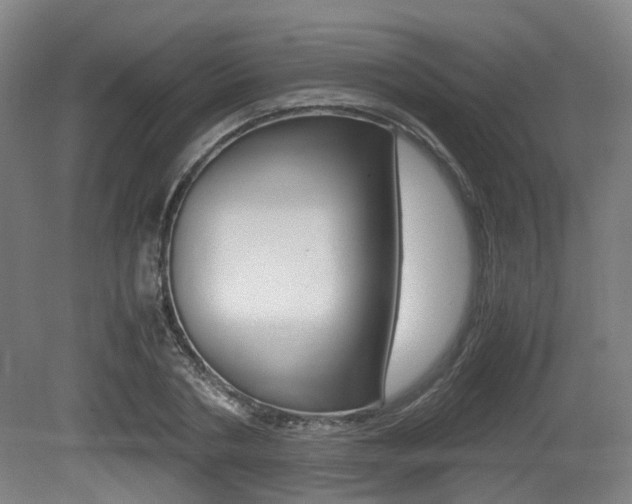 X0000079320786200611170929