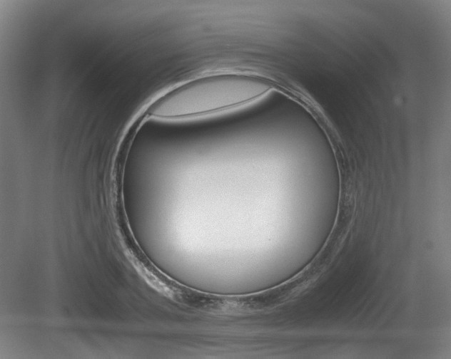 X0000079320787200611170929