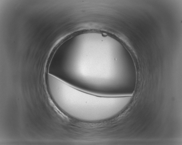 X0000079320791200611170929