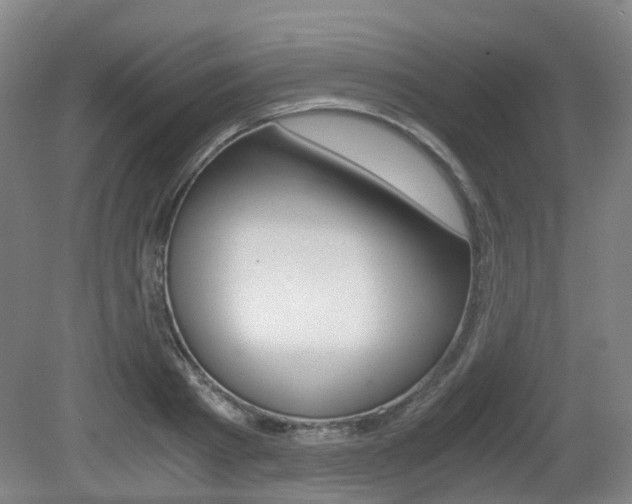 X0000079320793200611170929