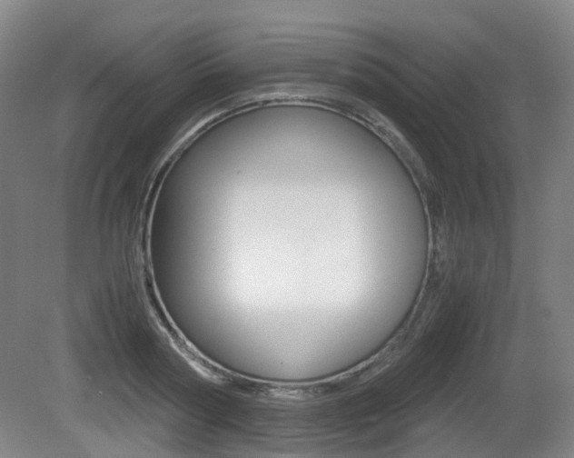 X0000079320794200611170929