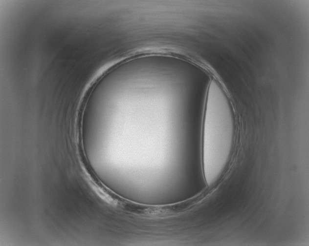 X0000079320795200611170929