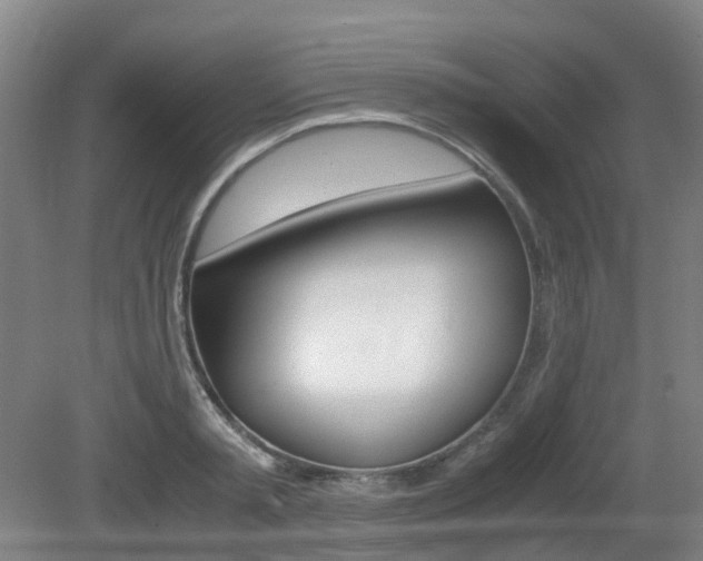 X0000079320797200611170929