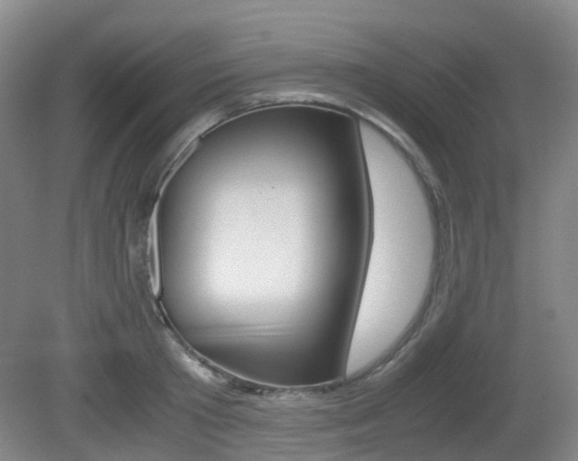 X0000079320801200611170929