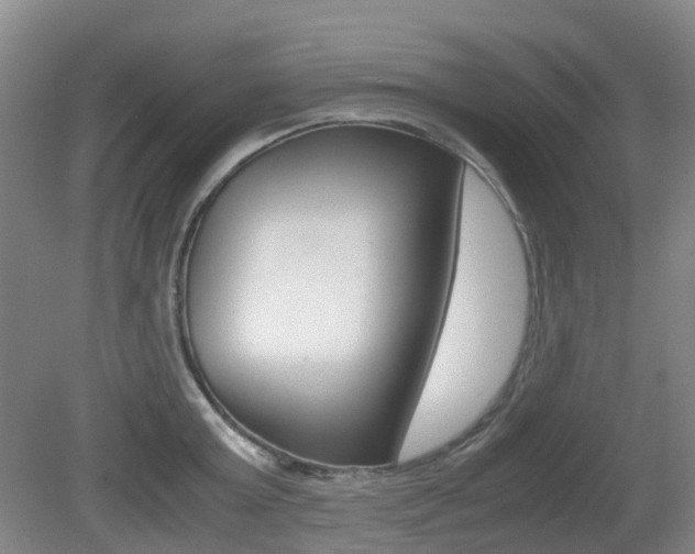 X0000079320803200611170929