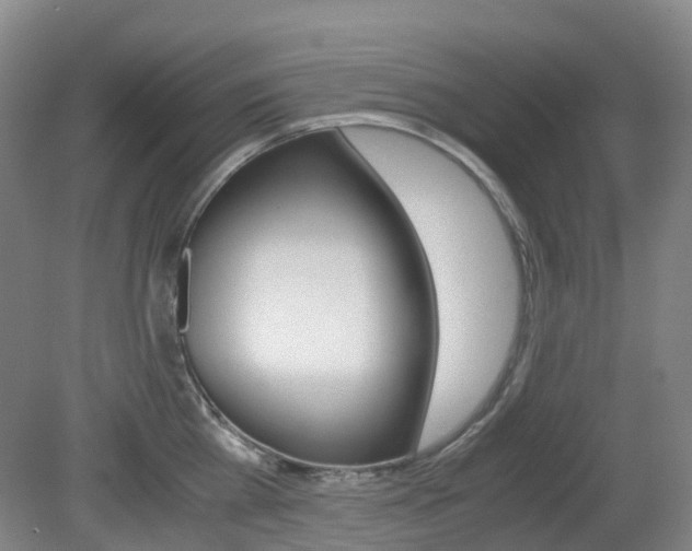 X0000079320809200611170929