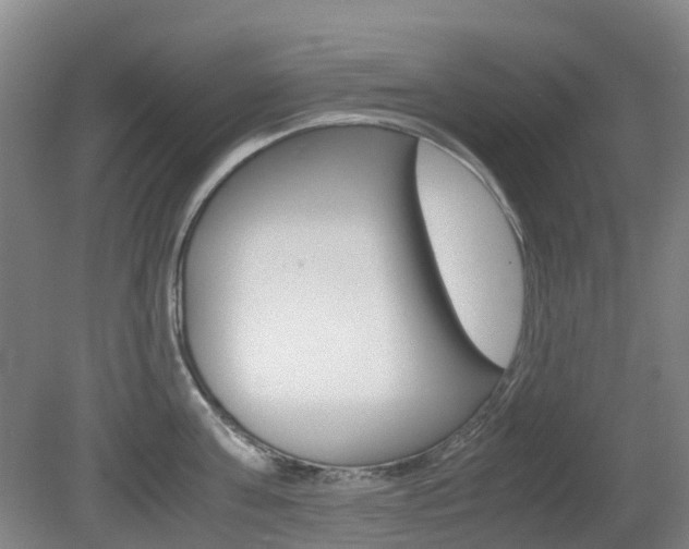 X0000079320811200611170929