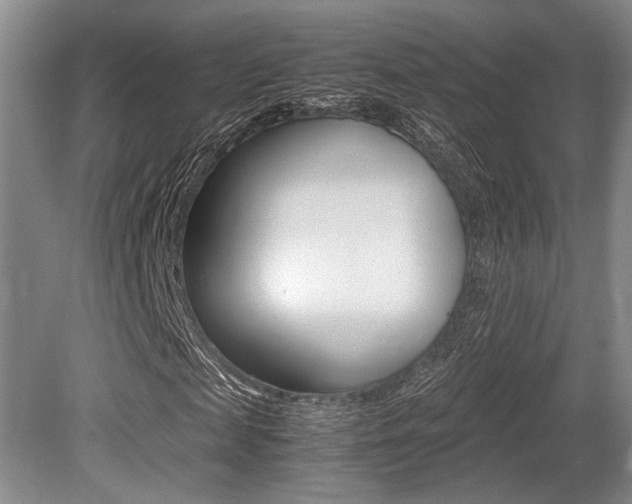 X0000079320817200611170928