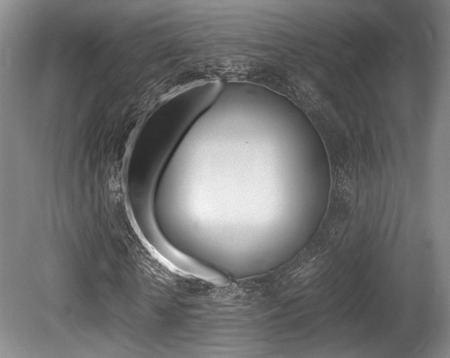 X0000079320818200611170928