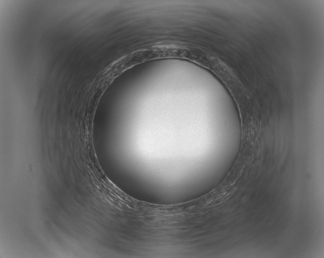X0000079320821200611170928