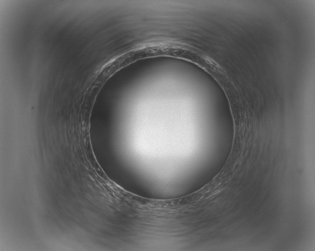X0000079320822200611170928