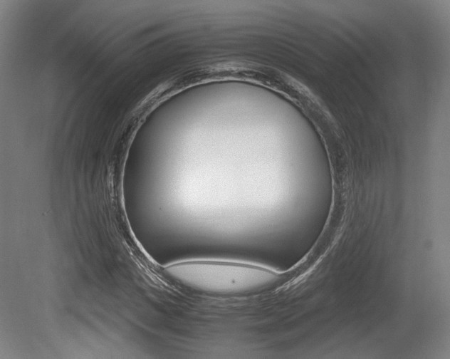 X0000079320825200611170928
