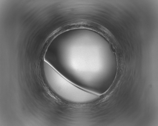 X0000079320826200611170928